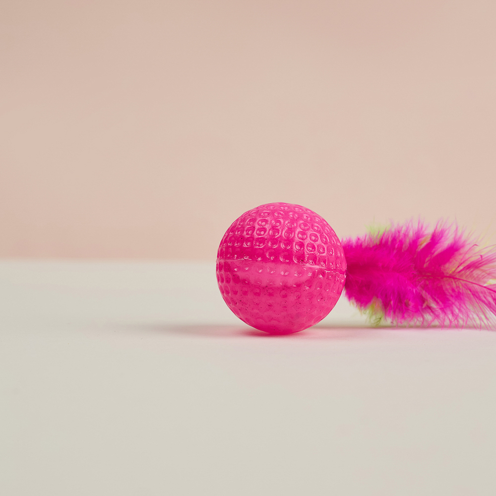 VETTA Игрушка для домашних животных, набор 2 шт, шарики с перьями, пластмасса, арт.№ 273-188