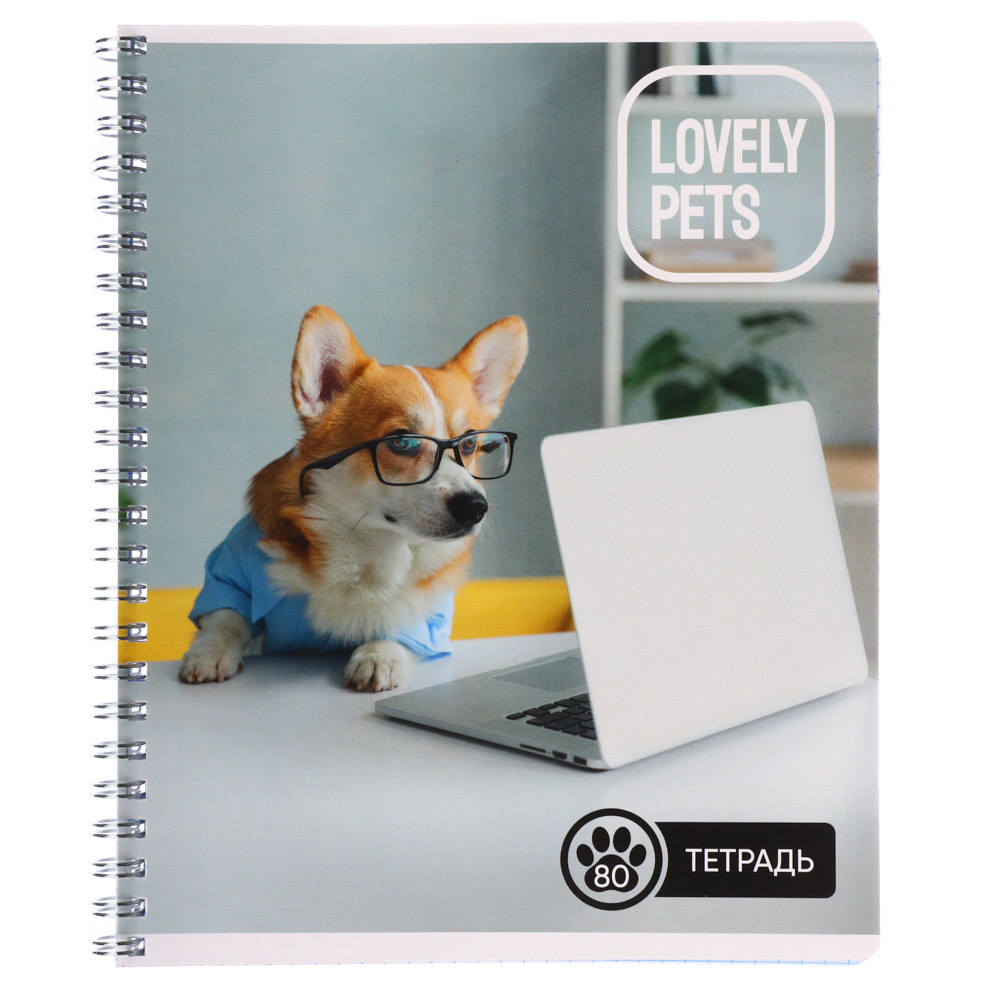 Тетрадь 80л. ClipStudio А5, в клетку, БЕЛЫЕ ЛИСТЫ, обл.картон, на спирали, арт.№ 578-005