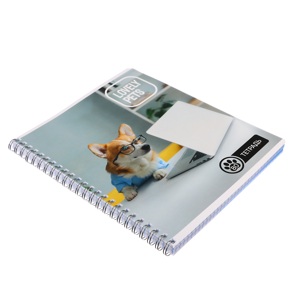 Тетрадь 80л. ClipStudio А5, в клетку, БЕЛЫЕ ЛИСТЫ, обл.картон, на спирали, арт.№ 578-005