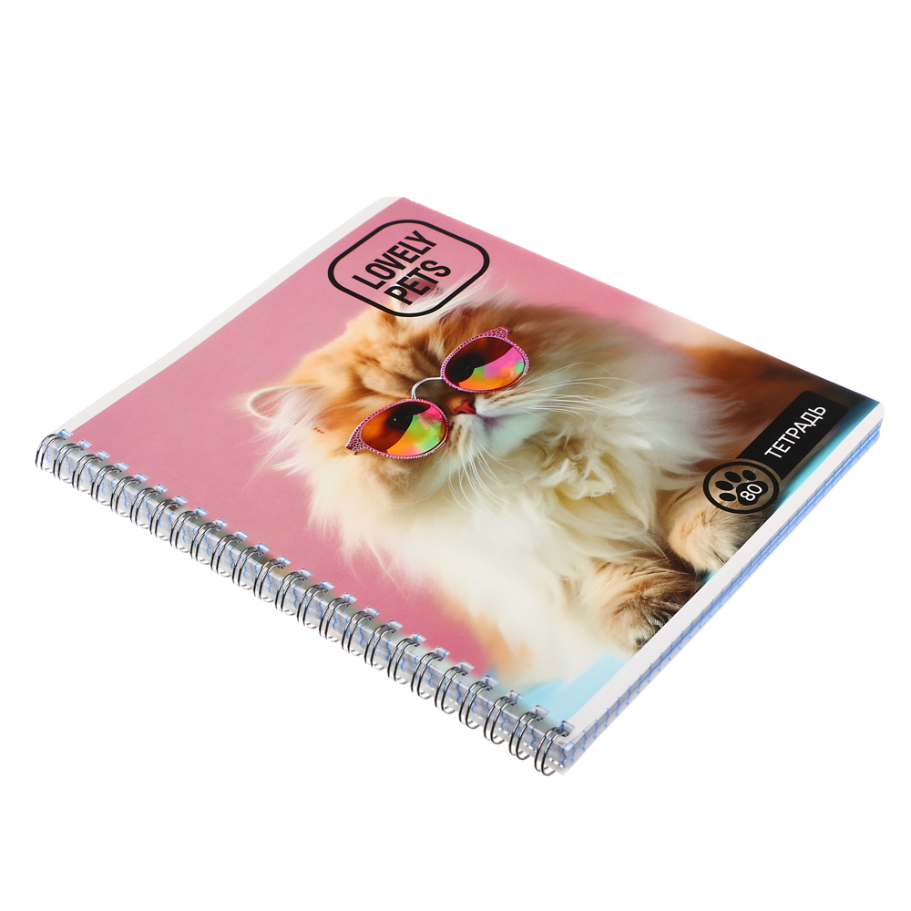 Тетрадь 80л. ClipStudio А5, в клетку, БЕЛЫЕ ЛИСТЫ, обл.картон, на спирали, арт.№ 578-005