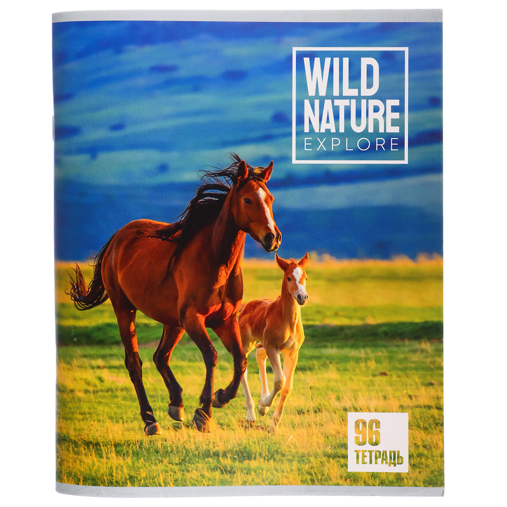 ClipStudio Тетрадь общая, 96 листов, в клетку, БЕЛЫЕ ЛИСТЫ, обложка - картон, скрепка, 4 дизайна, арт.№ 578-007