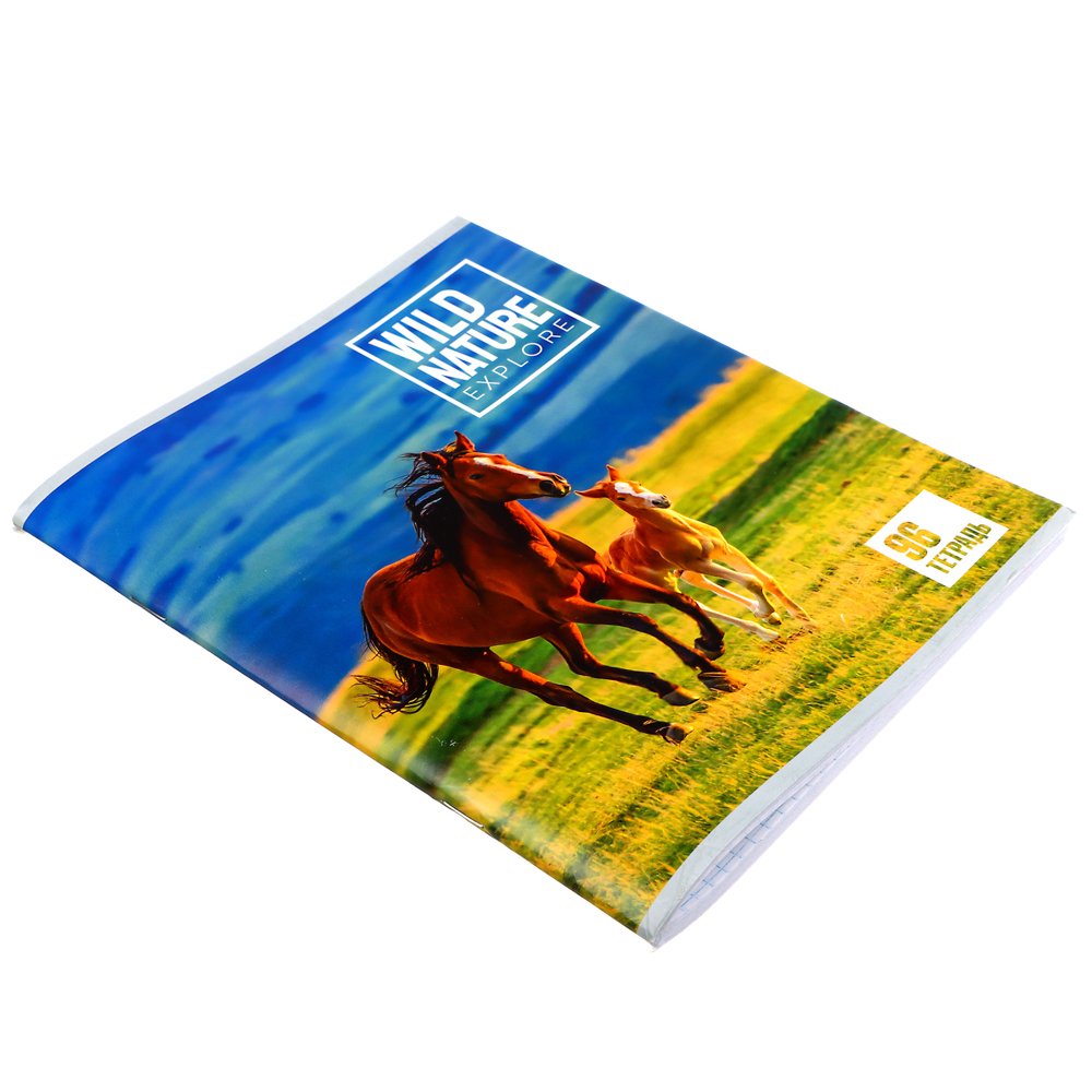 ClipStudio Тетрадь общая, 96 листов, в клетку, БЕЛЫЕ ЛИСТЫ, обложка - картон, скрепка, 4 дизайна, арт.№ 578-007