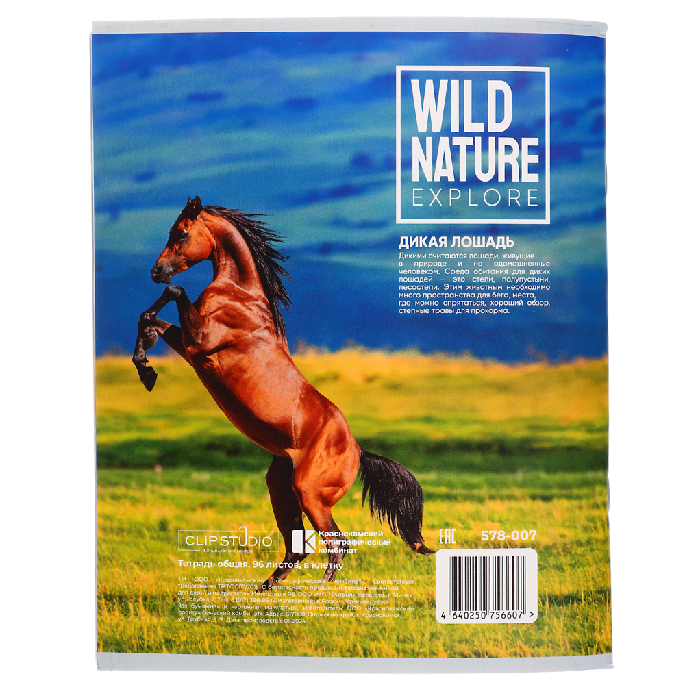ClipStudio Тетрадь общая, 96 листов, в клетку, БЕЛЫЕ ЛИСТЫ, обложка - картон, скрепка, 4 дизайна, арт.№ 578-007
