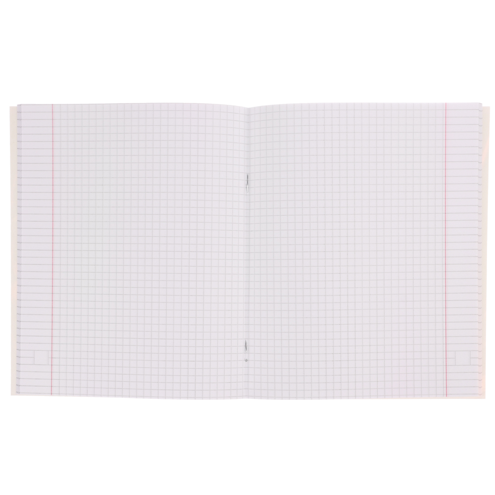 Тетрадь 48л. ClipStudio А5 "Аниме" в клетку, офсет, обложка мел.картон, скрепка, ВД- лак, 5 диз., арт.№ 578-009