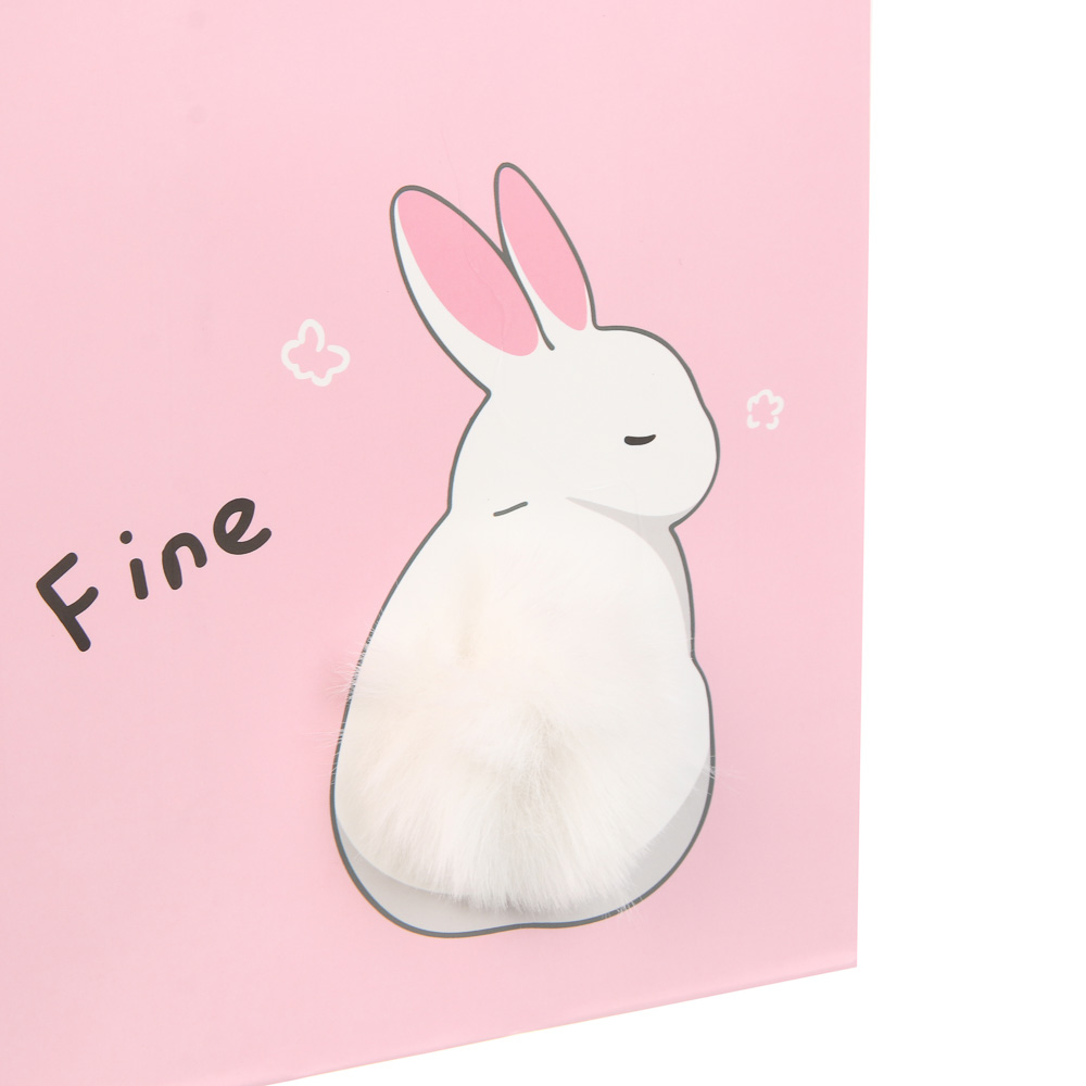 Пакет подарочный тм Fntastic M 23x17,7x10см, бумага, 4 дизайна, арт.№ 507-440