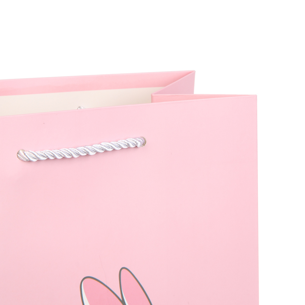 Пакет подарочный тм Fntastic M 23x17,7x10см, бумага, 4 дизайна, арт.№ 507-440