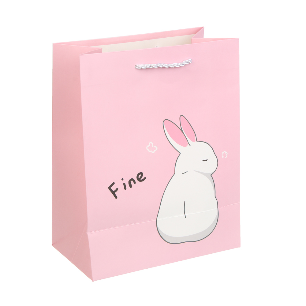 Пакет подарочный тм Fntastic M 23x17,7x10см, бумага, 4 дизайна, арт.№ 507-440