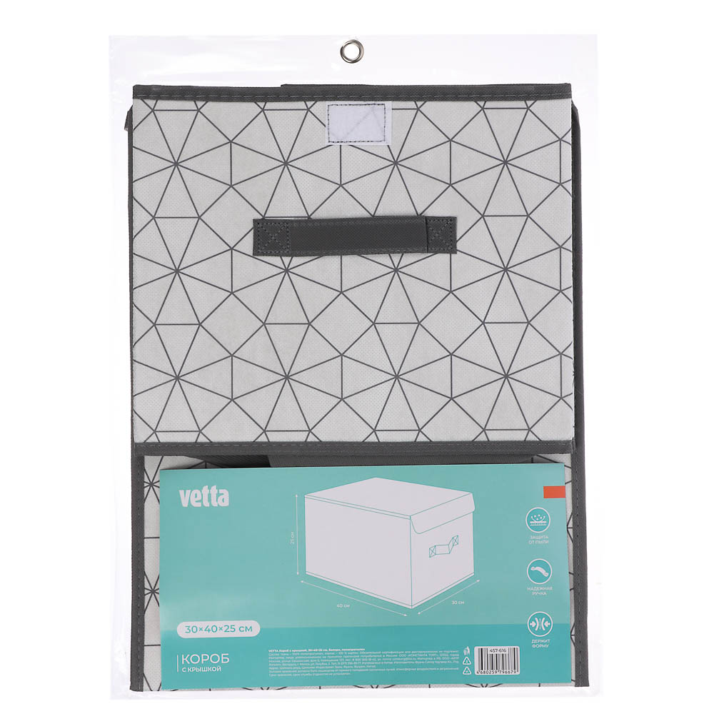 VETTA Короб с крышкой, 30х40х25см, Валери, полипропилен, арт.№ 457-616