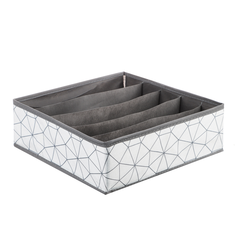 VETTA Органайзер, 5 отделений, 30х30х10см, Валери, полипропилен, арт.№ 457-621