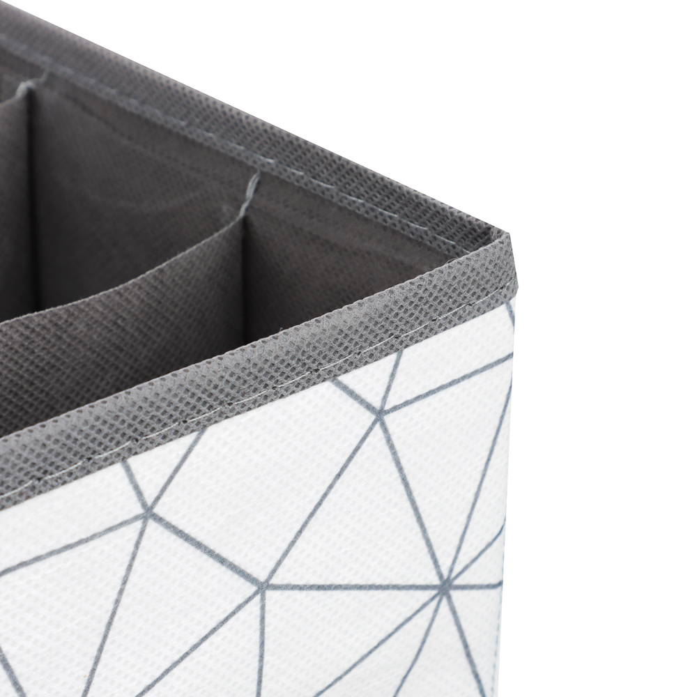 VETTA Органайзер, 5 отделений, 30х30х10см, Валери, полипропилен, арт.№ 457-621