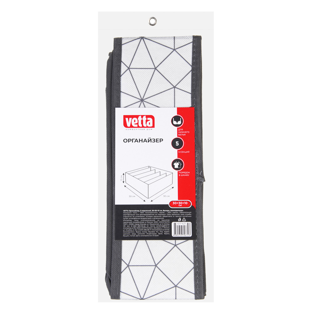 VETTA Органайзер, 5 отделений, 30х30х10см, Валери, полипропилен, арт.№ 457-621