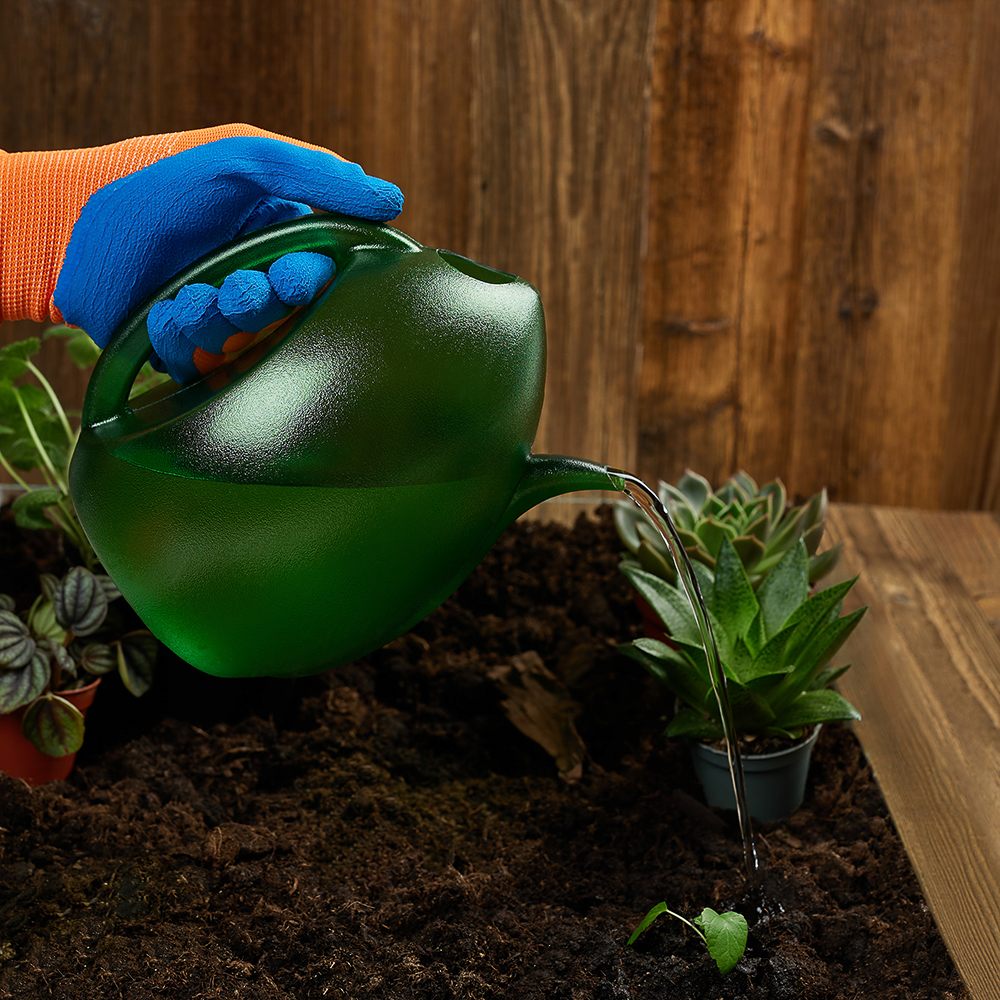 INBLOOM Лейка для домашних растений, 1500мл, пластик, арт.№ 182-006