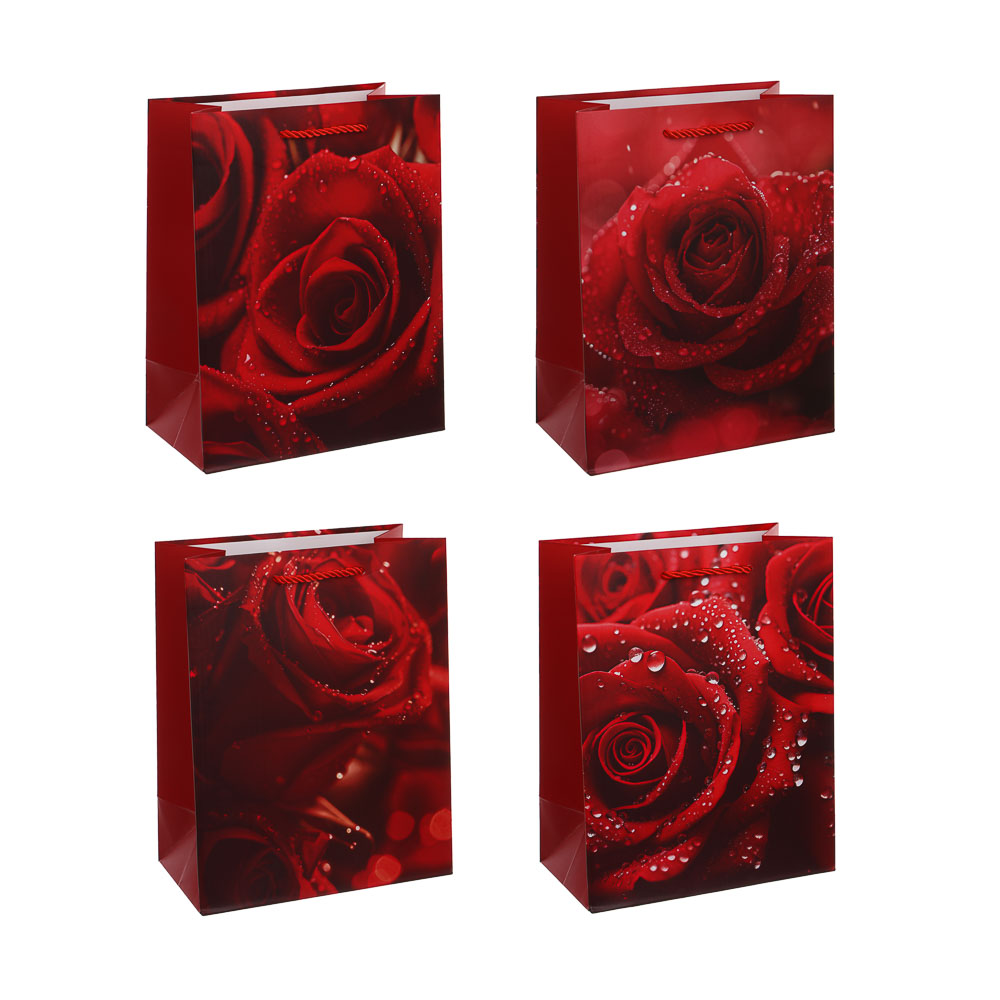 Пакет подарочный тм Fntastic M 18x23x10см, бумага, 4 дизайна, арт.7, арт.№ 507-445