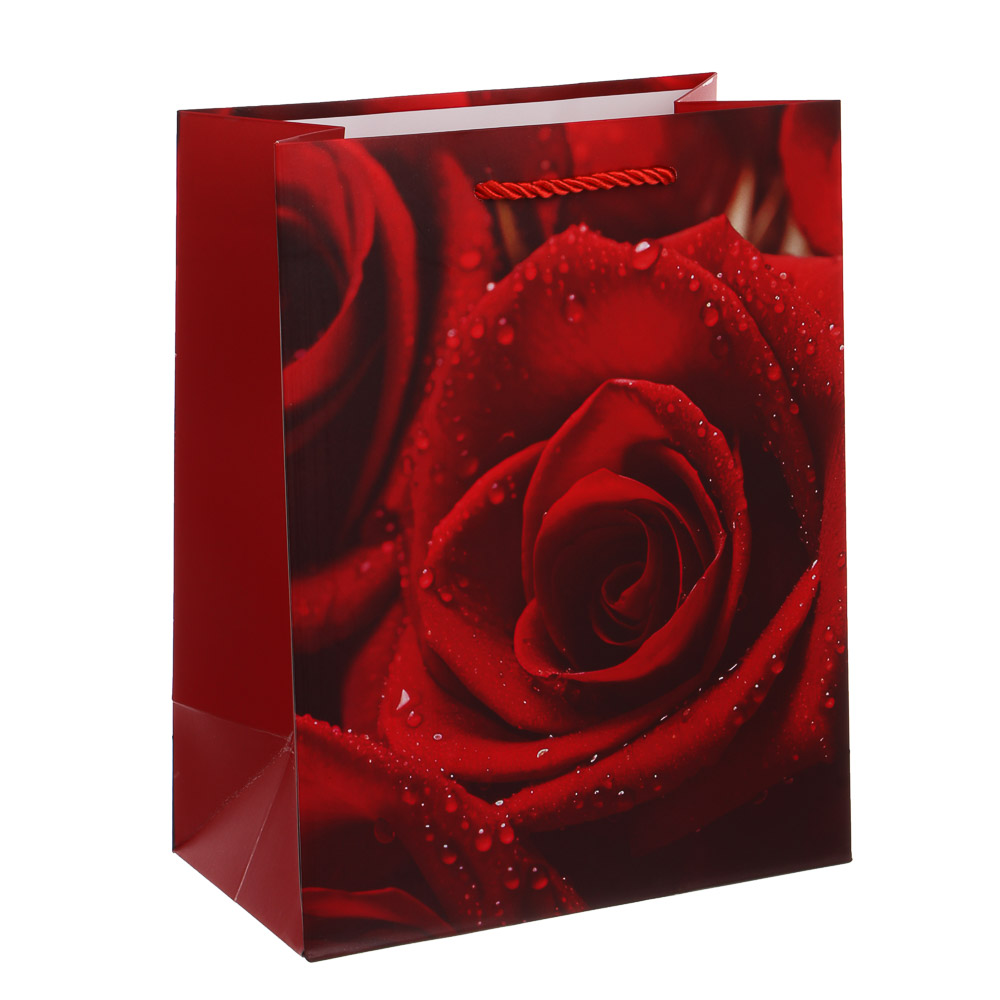 Пакет подарочный тм Fntastic M 18x23x10см, бумага, 4 дизайна, арт.7, арт.№ 507-445