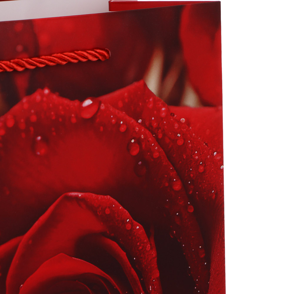 Пакет подарочный тм Fntastic M 18x23x10см, бумага, 4 дизайна, арт.7, арт.№ 507-445