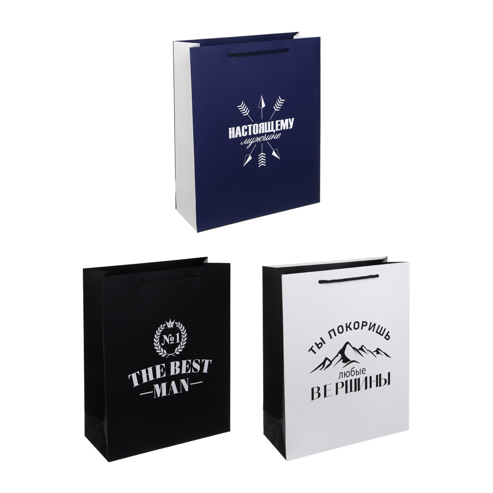 Пакет подарочный тм LADECOR "Лучшему мужчине", L 26x32x10 см, бумага, арт.№ 507-519