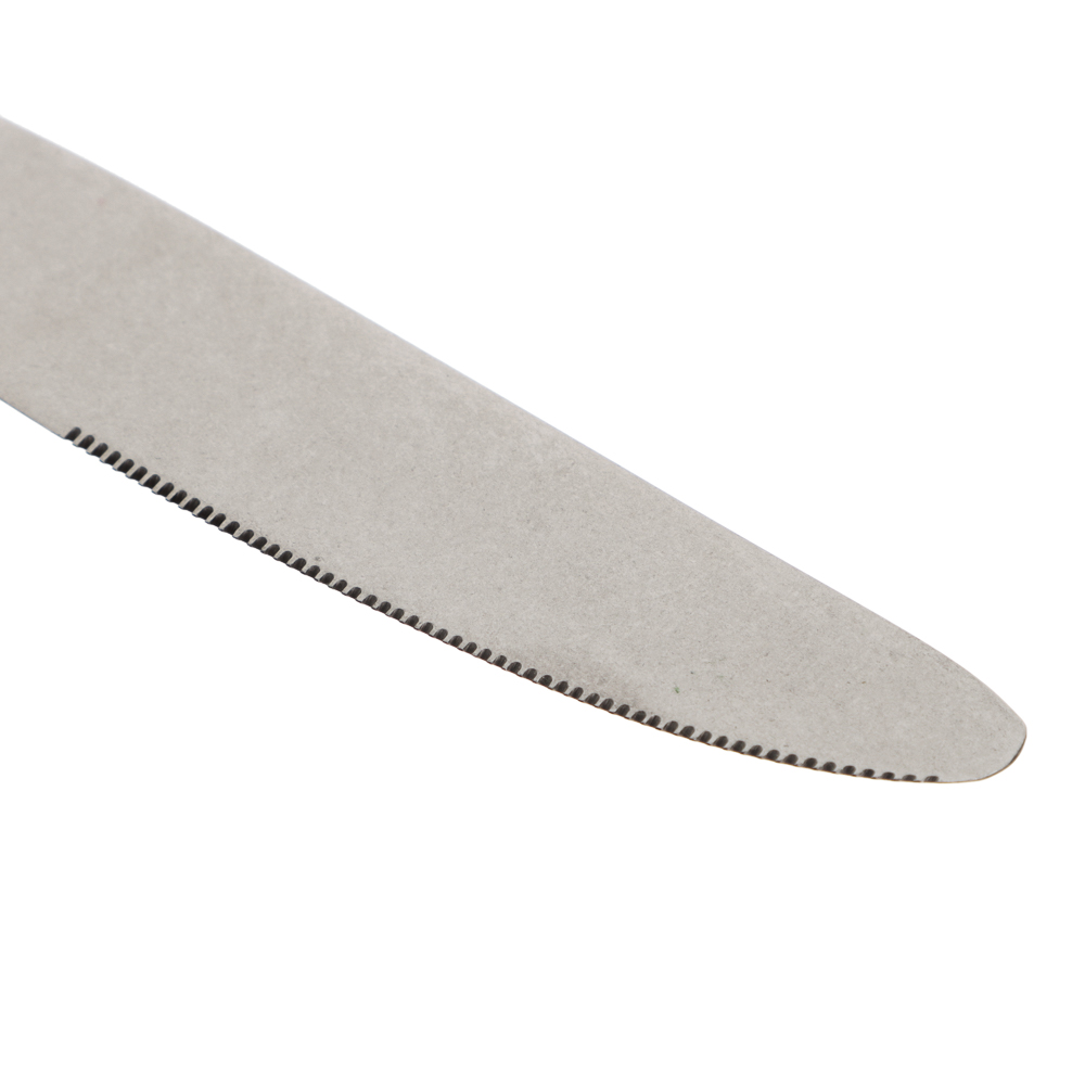 Ivlev Chef Ladoga Нож столовый, 1 пр. на блистере, нерж.сталь, арт.№ 815-047