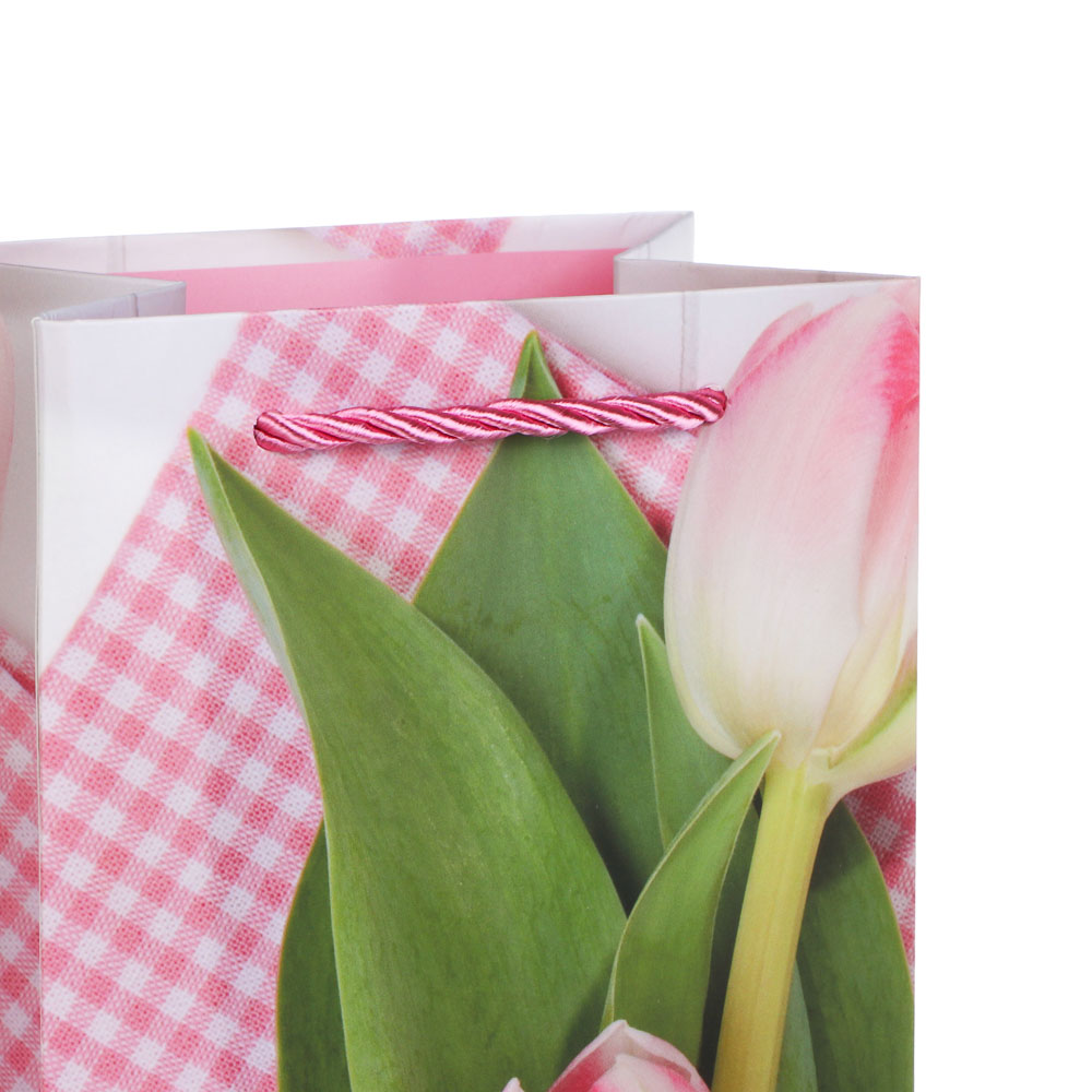 Пакет подарочный бумажный тм LADECOR, 12x9x35 см, для бутылок арт 2, 6 дизайнов, арт.№ 507-477
