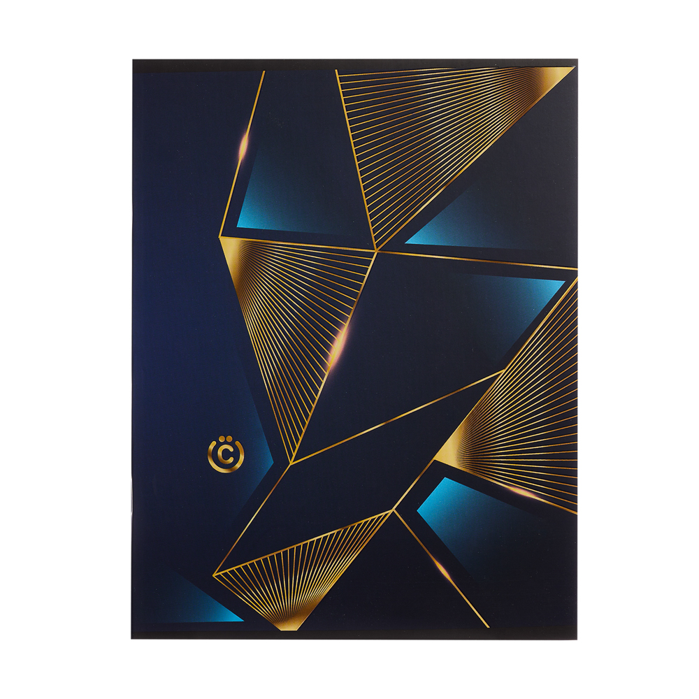 ВСЁГАЗИН Тетрадь 80л., А5+, в клетку ПРЕМИУМ, офсет, обл.картон, скрепка, "Микс" эффекты, 4 диз., арт.№ 059-029