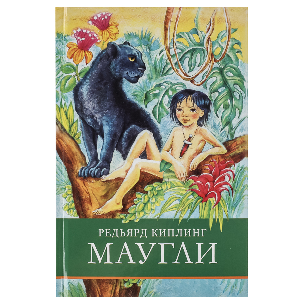 Книжка "Школьная программа", твердый переплет, 21х13,5см, 120-384стр., 5 дизайнов, арт.№ 837-218