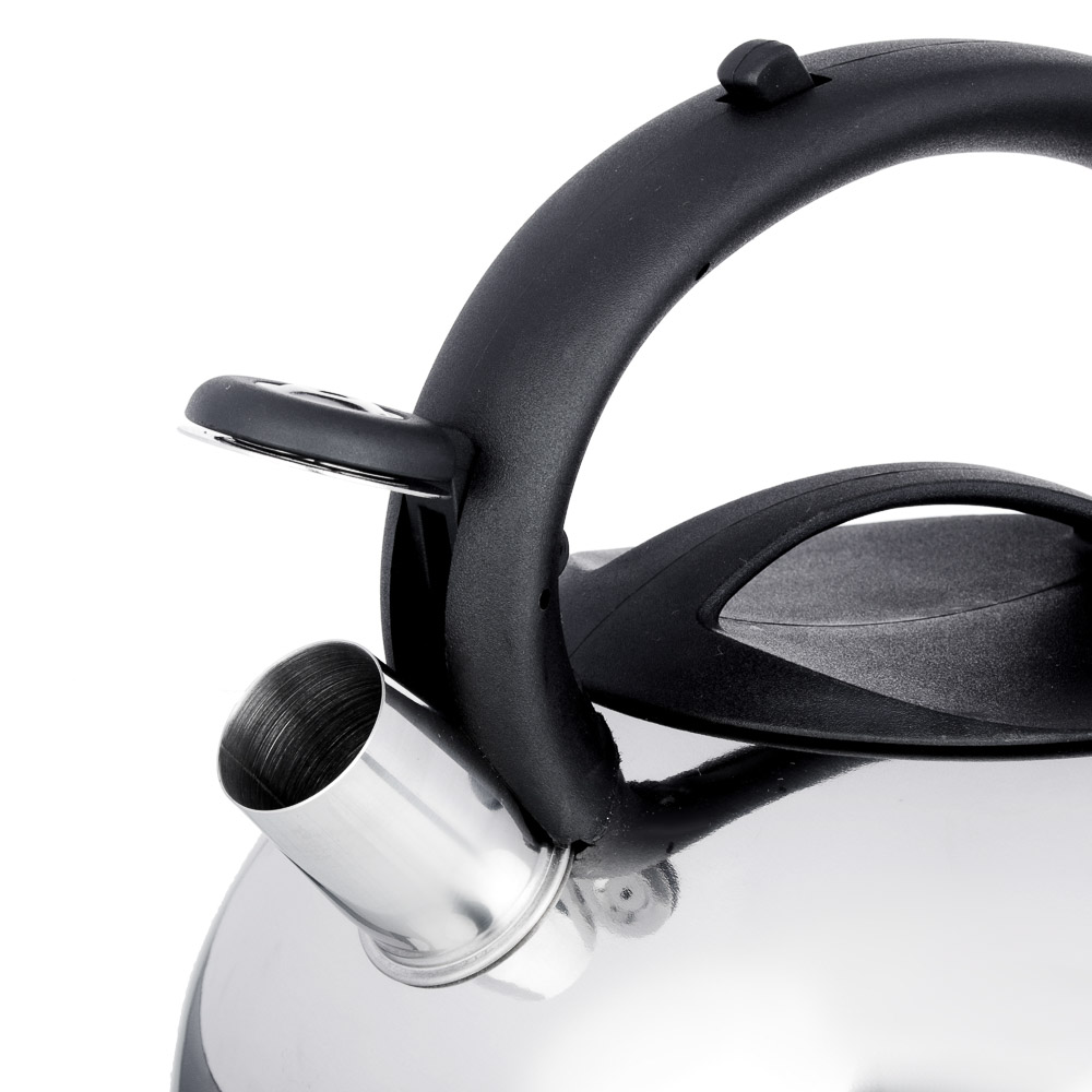 VETTA Чайник стальной 3,0л "Франсуа", индукция, арт.№ 847-091