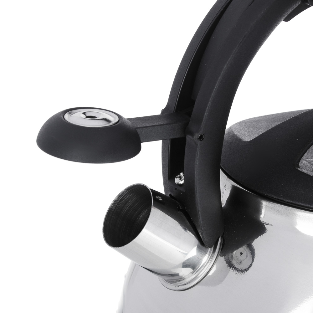 VETTA Чайник стальной 3,0л "Реми", индукция, арт.№ 847-092